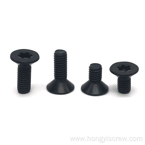 Stainless steel Black Torx Short Head Screws